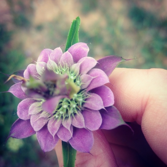 Meet your Posher, Claire - Picture 1 of 1